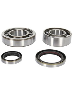 Crankshaft bearings kit with oil seals 2t - KTM SX 250 04-017 - EXC 250 06-017 09240365 Prox Roulements et joints