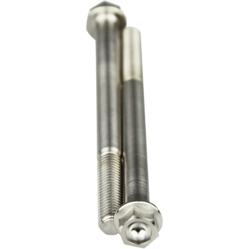 Titanium screws (2 pcs) Scar