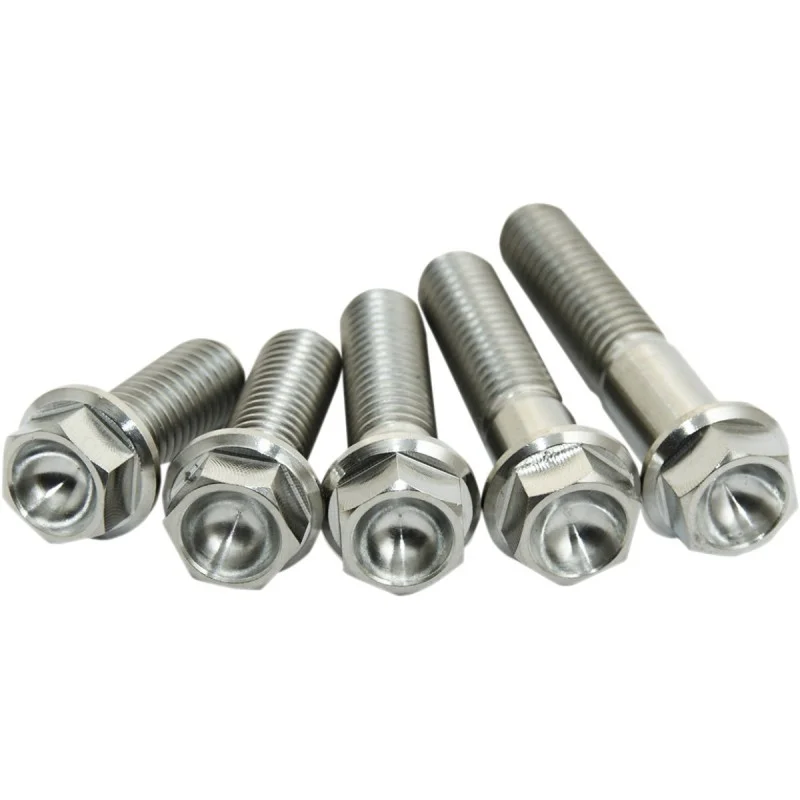 Titanium screws (4 pcs) Scar