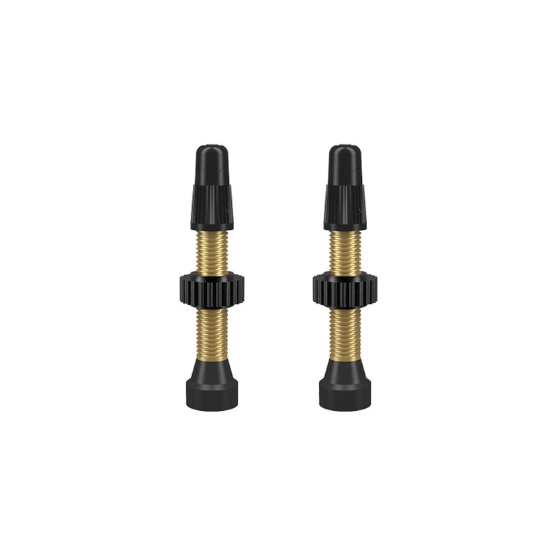 Valvola TCS Brass Presta 34mm 2 pz